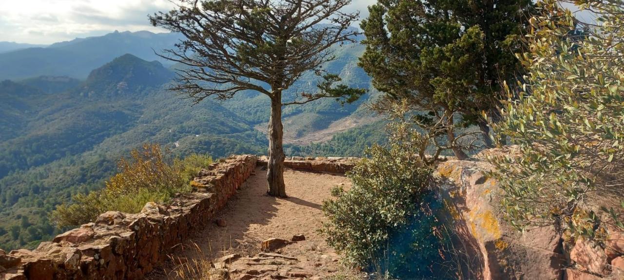 La Casita De Jimena Villa Riudecanyes Eksteriør bilde