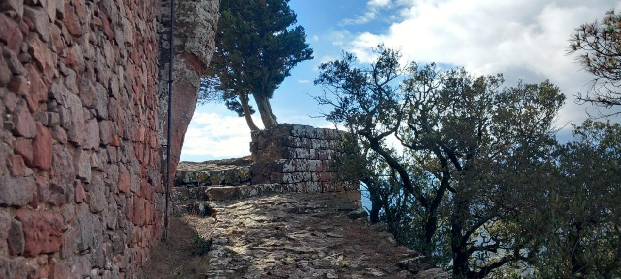 La Casita De Jimena Villa Riudecanyes Eksteriør bilde