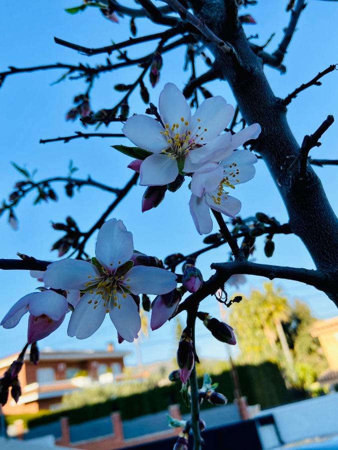La Casita De Jimena Villa Riudecanyes Eksteriør bilde