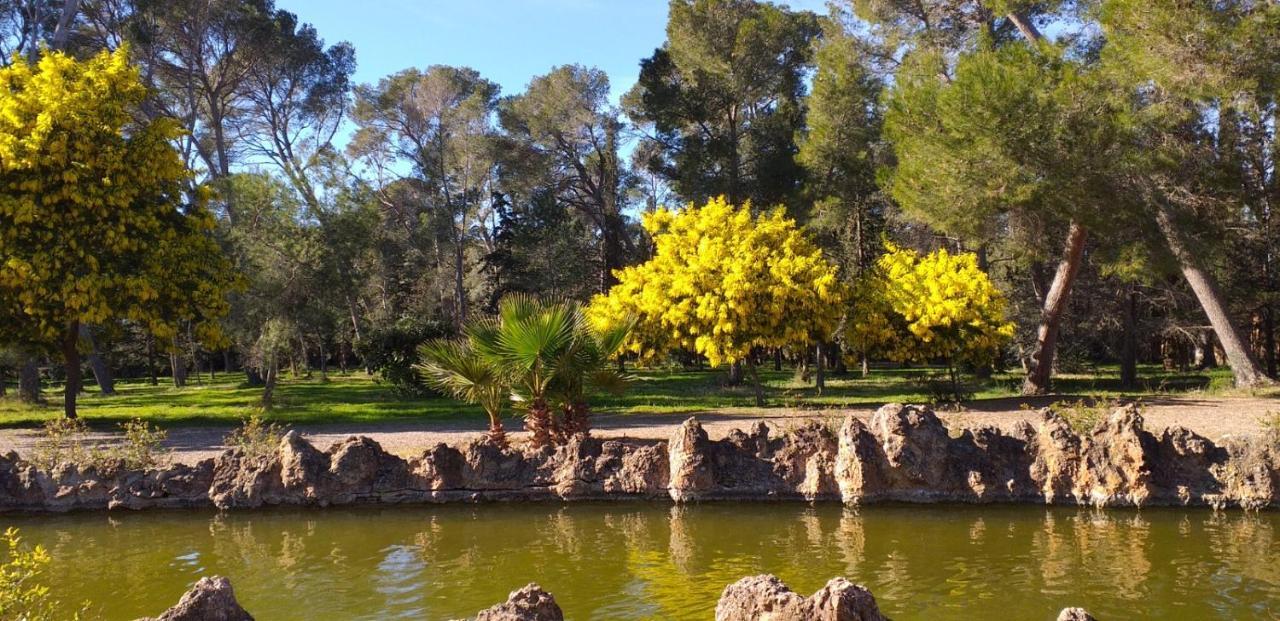 La Casita De Jimena Villa Riudecanyes Eksteriør bilde