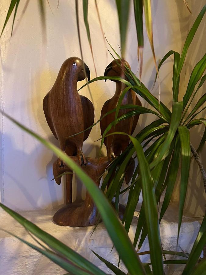 La Casita De Jimena Villa Riudecanyes Eksteriør bilde
